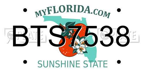 BTS7538 Florida License Plate