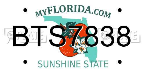 BTS7838 Florida License Plate