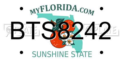 BTS8242 Florida License Plate