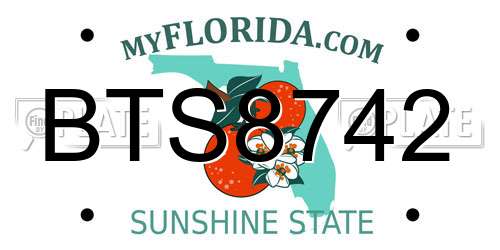 BTS8742 Florida License Plate