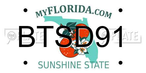 BTSD91 Florida License Plate