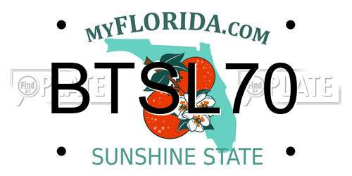BTSL70 Florida License Plate