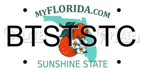 BTSTSTC Florida License Plate