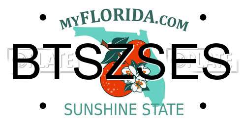 BTSZSES Florida License Plate