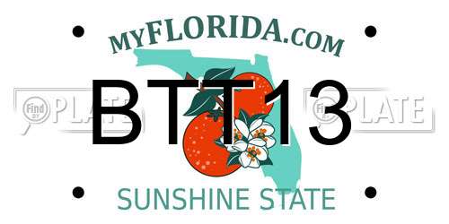 BTT13 Florida License Plate