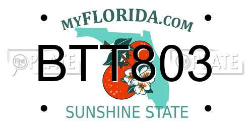 BTT803 Florida License Plate