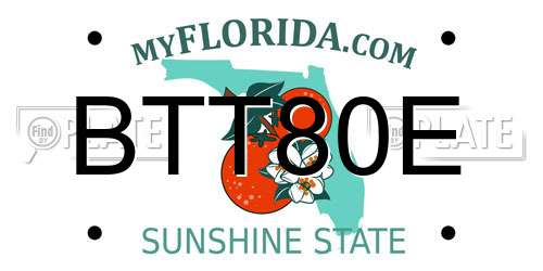 BTT80E Florida License Plate