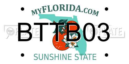 BTTB03 Florida License Plate