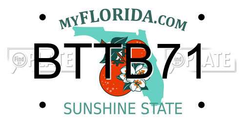 BTTB71 Florida License Plate