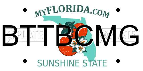 BTTBCMG Florida License Plate