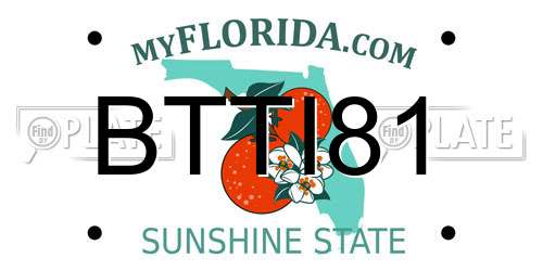 BTTI81 Florida License Plate