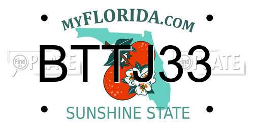 BTTJ33 Florida License Plate