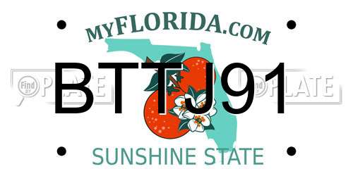 BTTJ91 Florida License Plate
