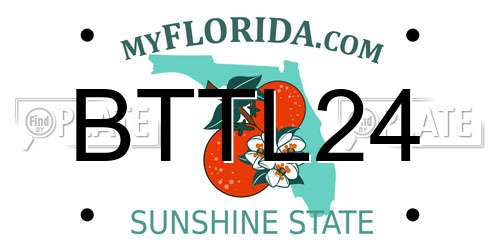 BTTL24 Florida License Plate