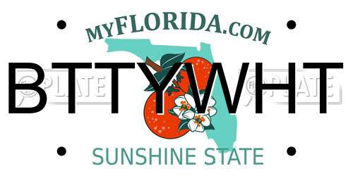 BTTYWHT Florida License Plate