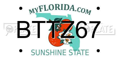 BTTZ67 Florida License Plate