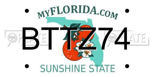BTTZ74 Florida License Plate