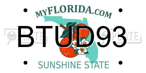 BTUD93 Florida License Plate