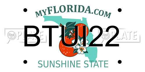BTUI22 Florida License Plate