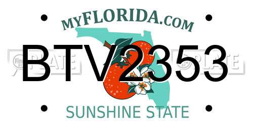 BTV2353 Florida License Plate