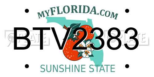 BTV2383 Florida License Plate