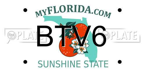 BTV6 Florida License Plate