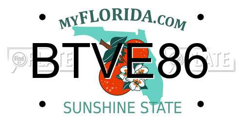 BTVE86 Florida License Plate