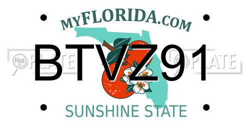 BTVZ91 Florida License Plate