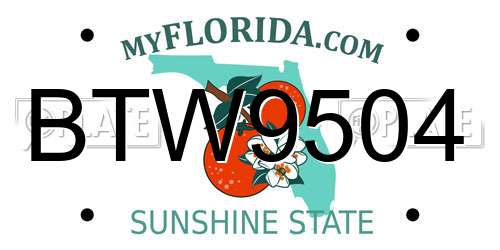 BTW9504 Florida License Plate