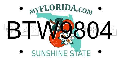 BTW9804 Florida License Plate