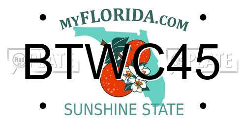 BTWC45 Florida License Plate