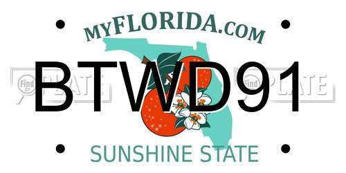 BTWD91 Florida License Plate