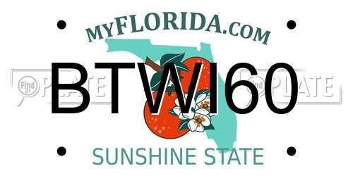 BTWI60 Florida License Plate