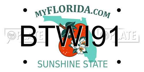 BTWI91 Florida License Plate