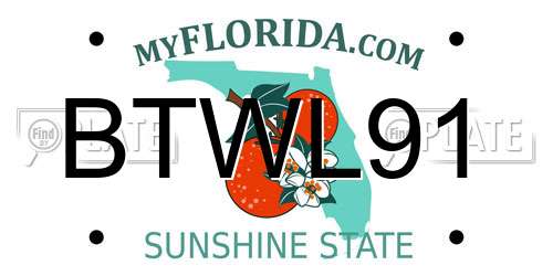 BTWL91 Florida License Plate