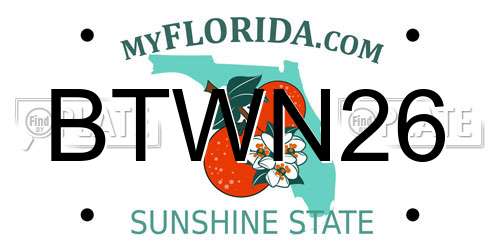 BTWN26 Florida License Plate