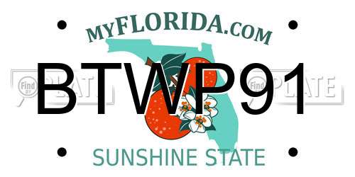 BTWP91 Florida License Plate