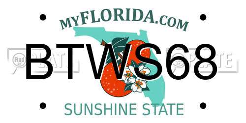 BTWS68 Florida License Plate
