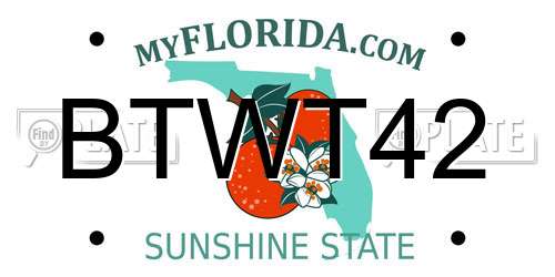 BTWT42 Florida License Plate