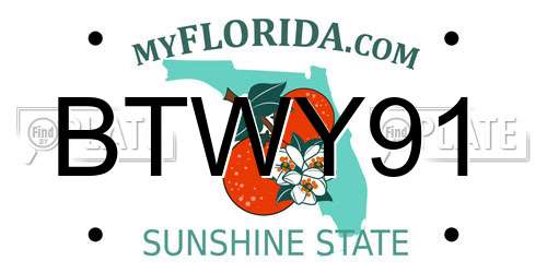 BTWY91 Florida License Plate