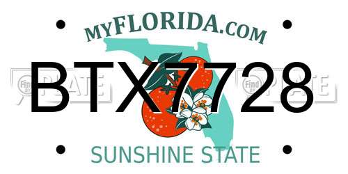 BTX7728 Florida License Plate