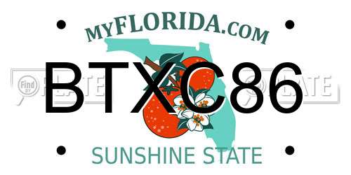 BTXC86 Florida License Plate