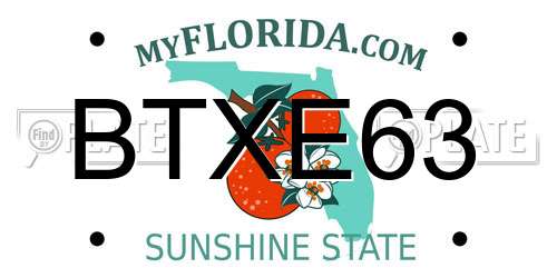 BTXE63 Florida License Plate