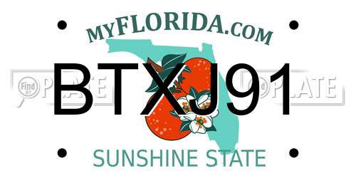 BTXJ91 Florida License Plate