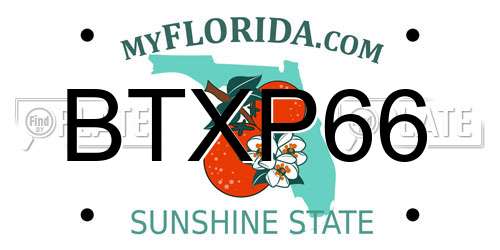 BTXP66 Florida License Plate