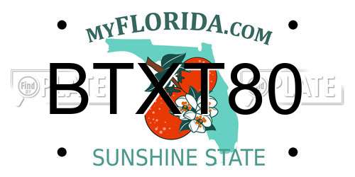 BTXT80 Florida License Plate