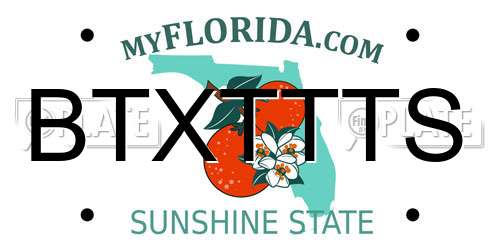 BTXTTTS Florida License Plate