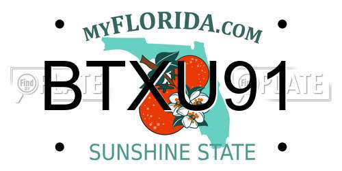 BTXU91 Florida License Plate