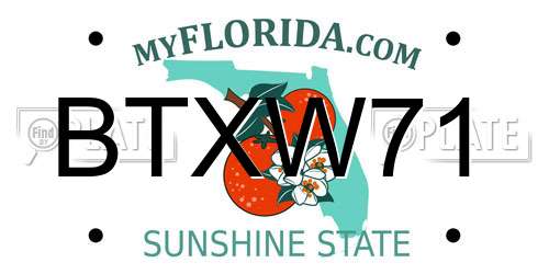 BTXW71 Florida License Plate