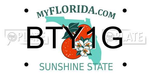 BTY1G Florida License Plate